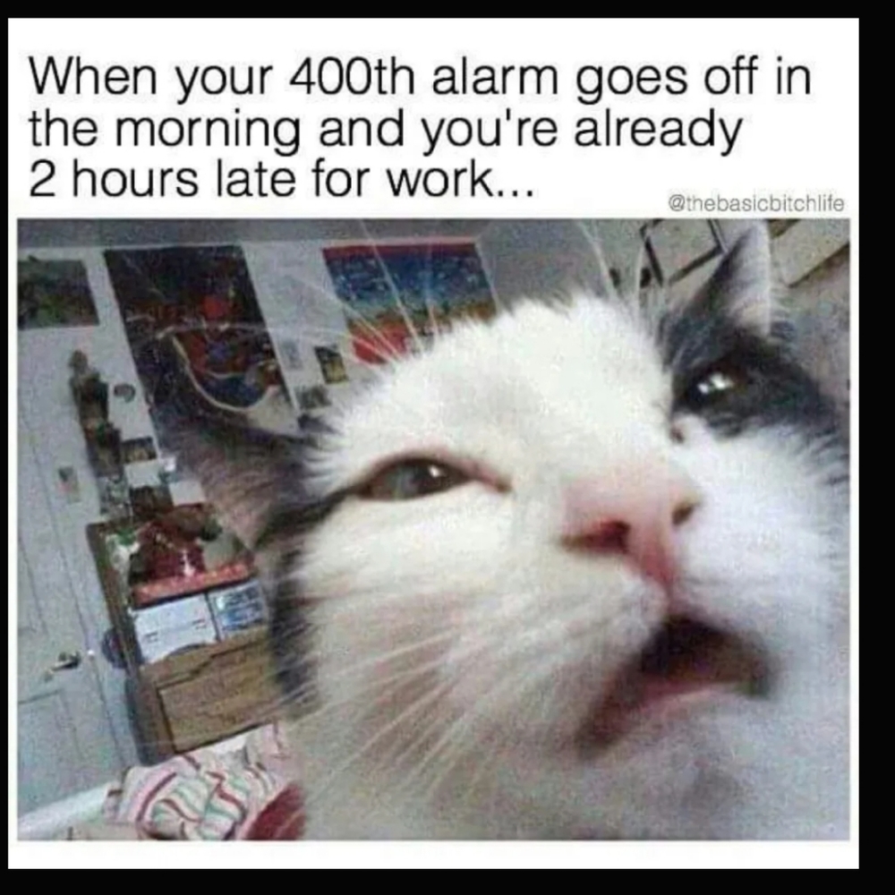 Follow Party!! Funny Memes to brighten your day! Like, Follow, Share!! - Picture 8 of 11